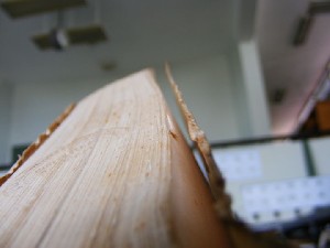 biblioteca 105 copy.jpg